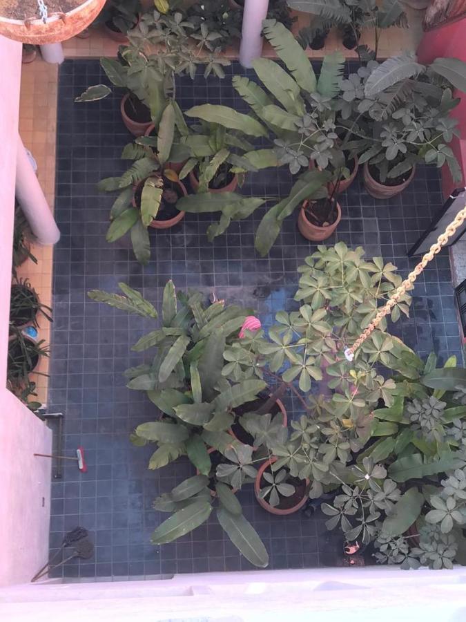 Aparthotel Mesón San Felipe Guadalajara Exterior foto
